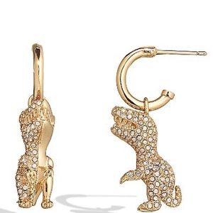 - Coach Earrings